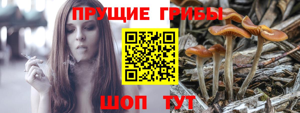 Галлюциногенные грибы MAGIC MUSHROOMS Шатура
