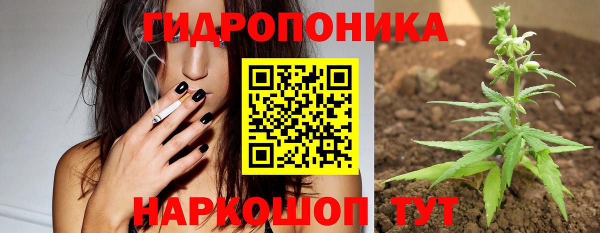 Каннабис семена  Вход с VPN  МАРИХУАНА THC 21%  Бошки марихуана VHQ  Шатура  Конопля Ganja 